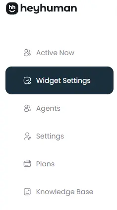 Widget Settings selected
